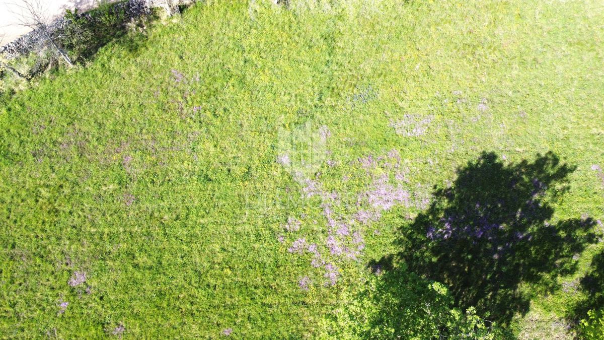 Poreč – Okolica – Zemljišče s Čudovitim Pogledom na Morje
