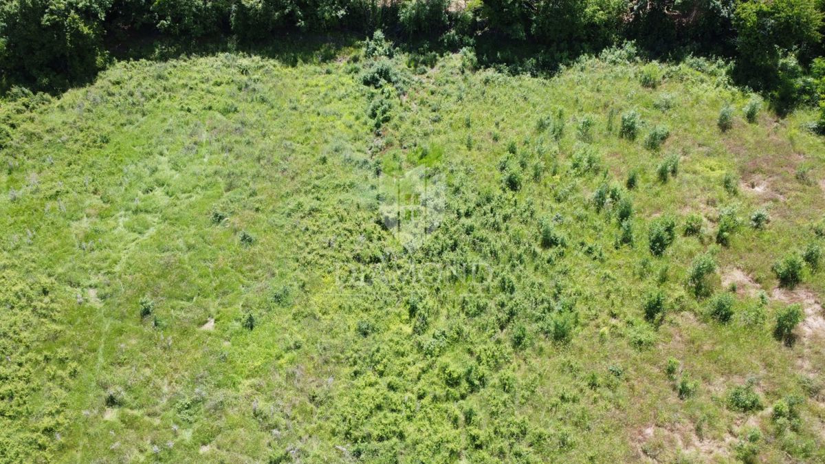 Poreč - okolica - Odlično gradbeno zemljišče 906 m² s projektom in dovoljenjem