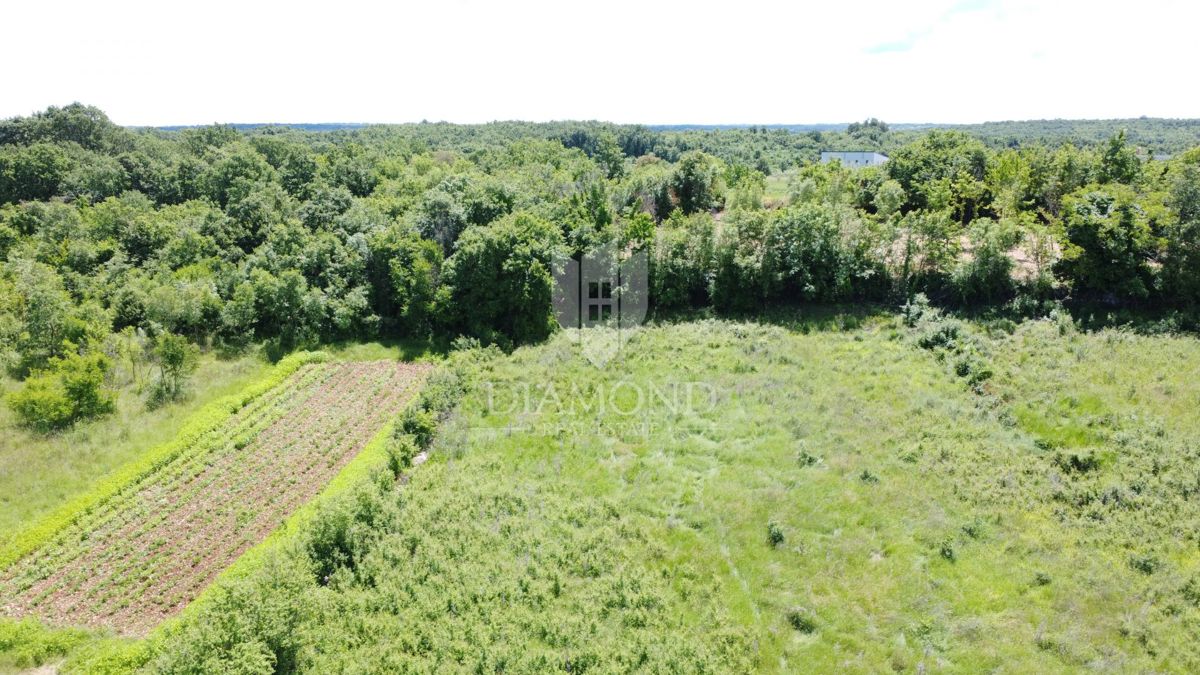 Poreč - okolica - Odlično gradbeno zemljišče 906 m² s projektom in dovoljenjem