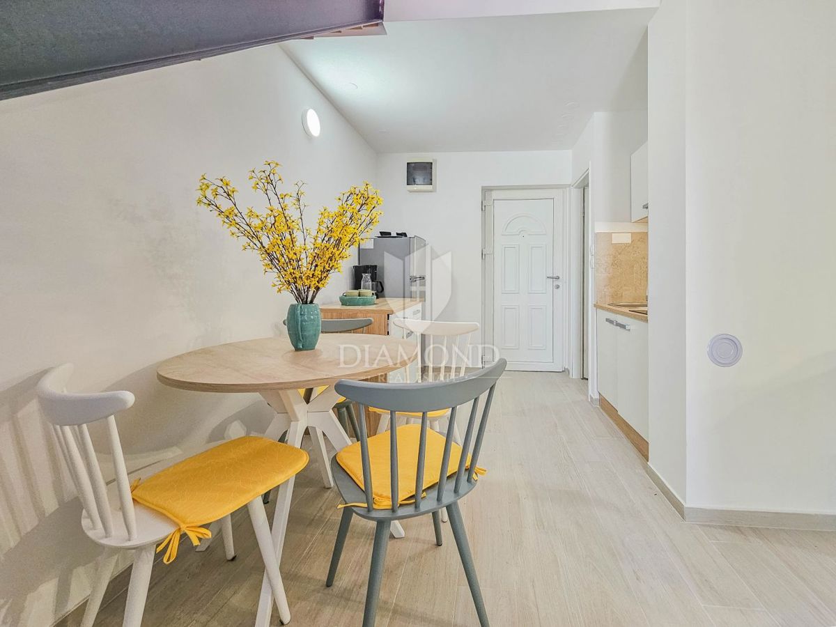 Apartmaj Novigrad, 39m2