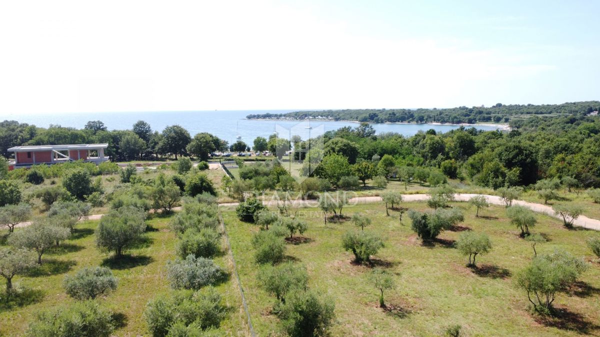 Poreč, luksuzna vila 300m od plaže!