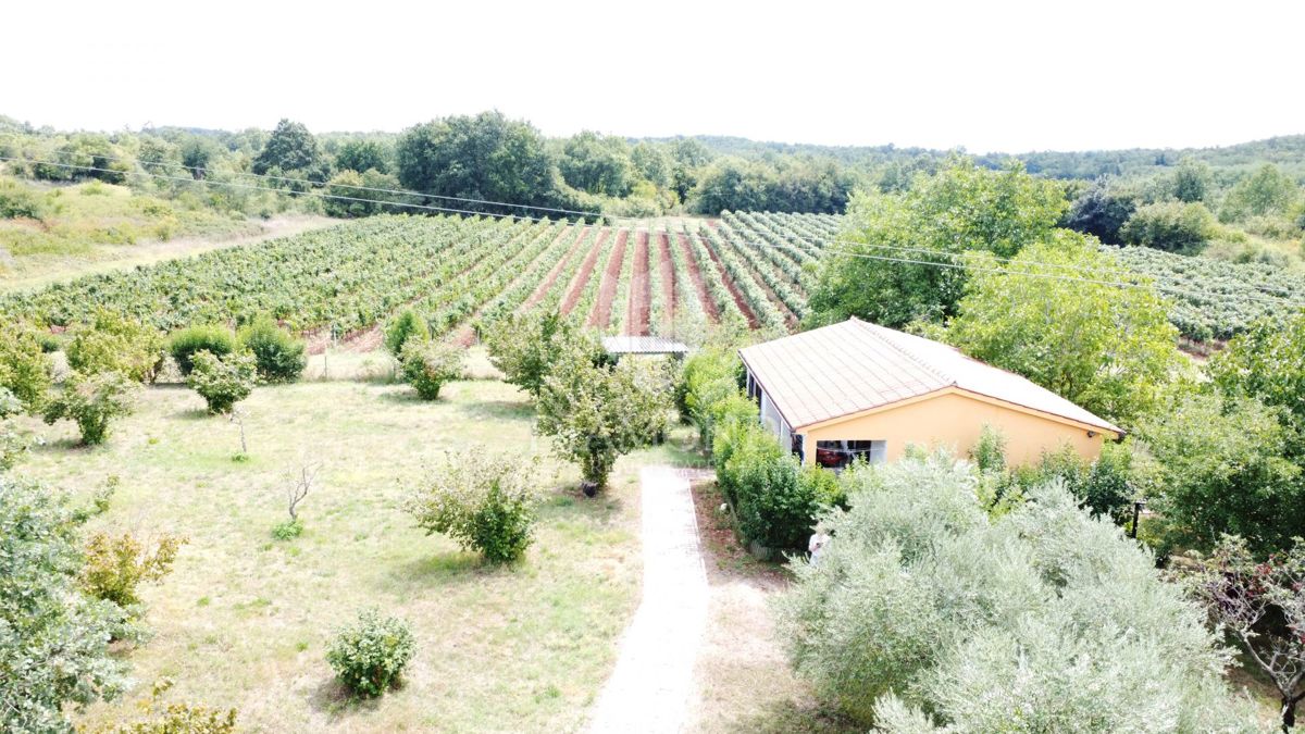 Poreč okolica – hiša s prostornim zemljiščem v mirnem okolju
