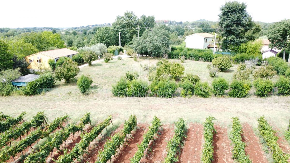Poreč okolica – hiša s prostornim zemljiščem v mirnem okolju