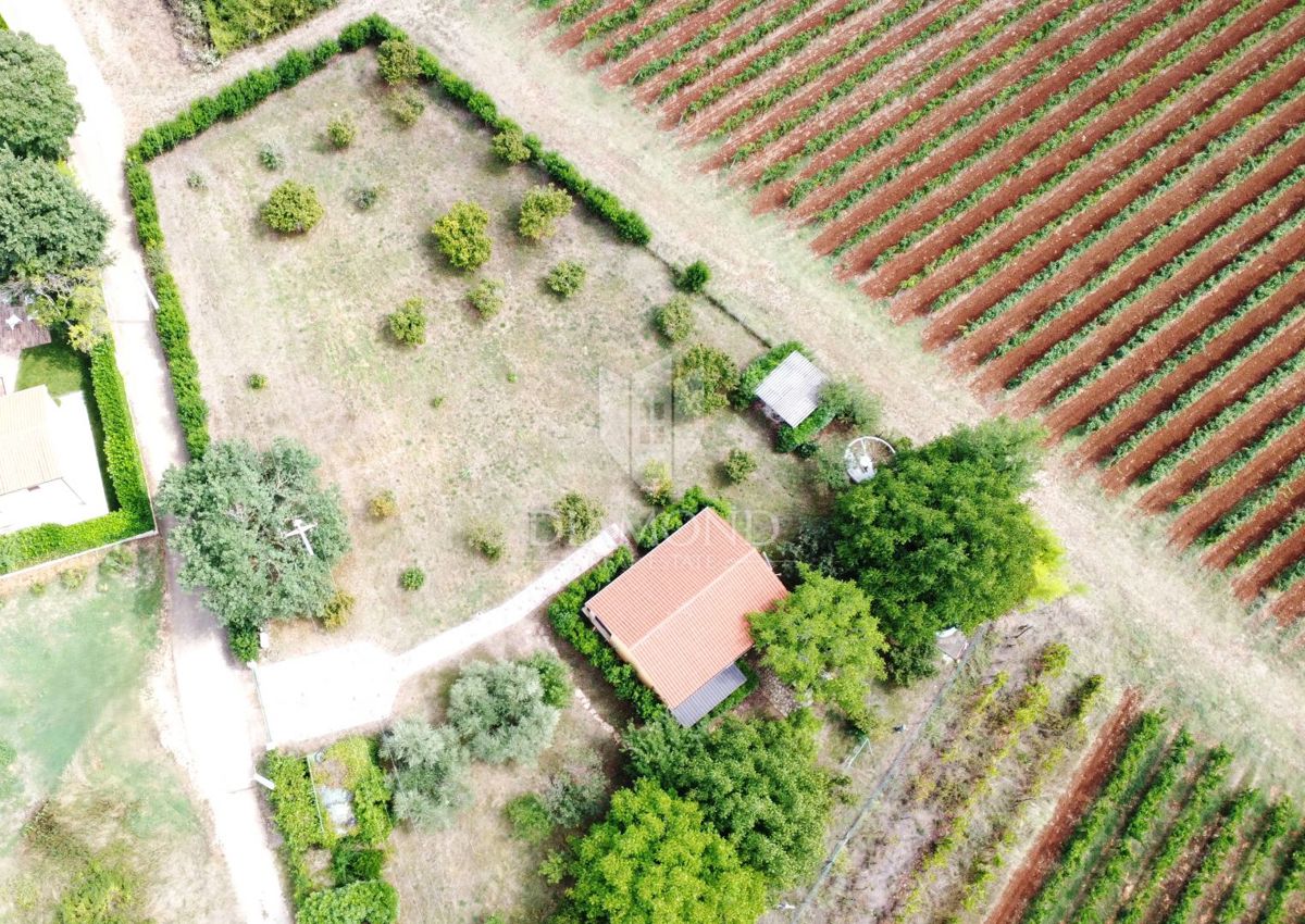 Poreč okolica – hiša s prostornim zemljiščem v mirnem okolju