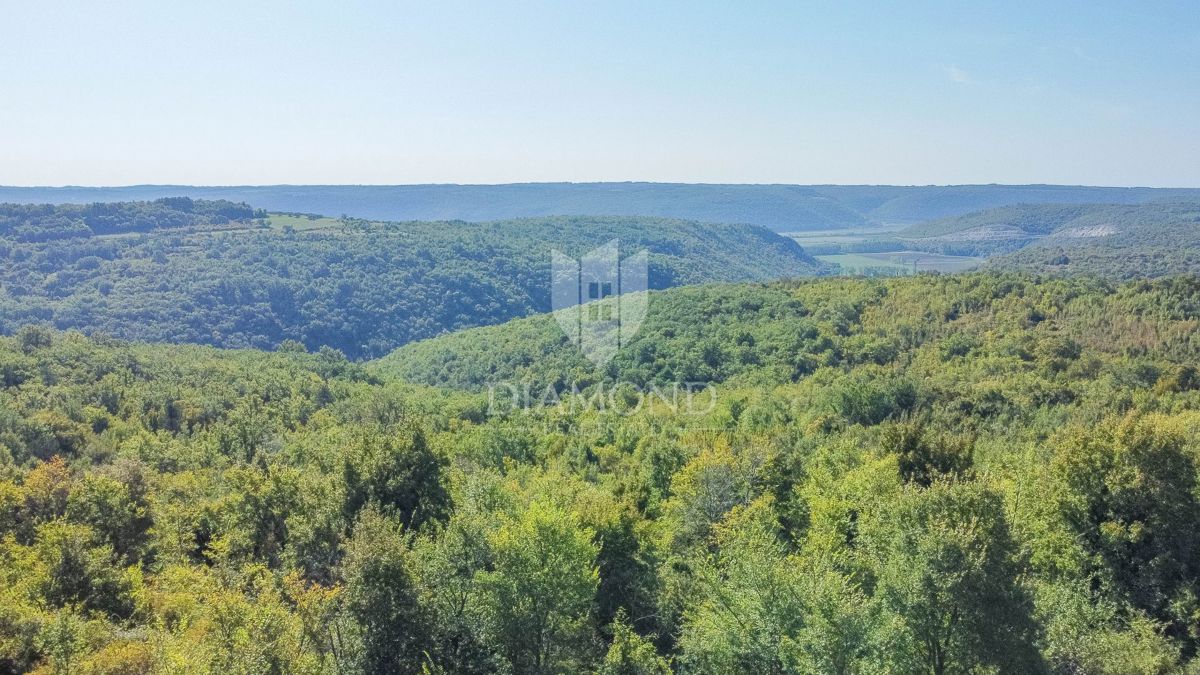 Buje! Zemljišče z razgledom in gradbenim dovoljenjem!