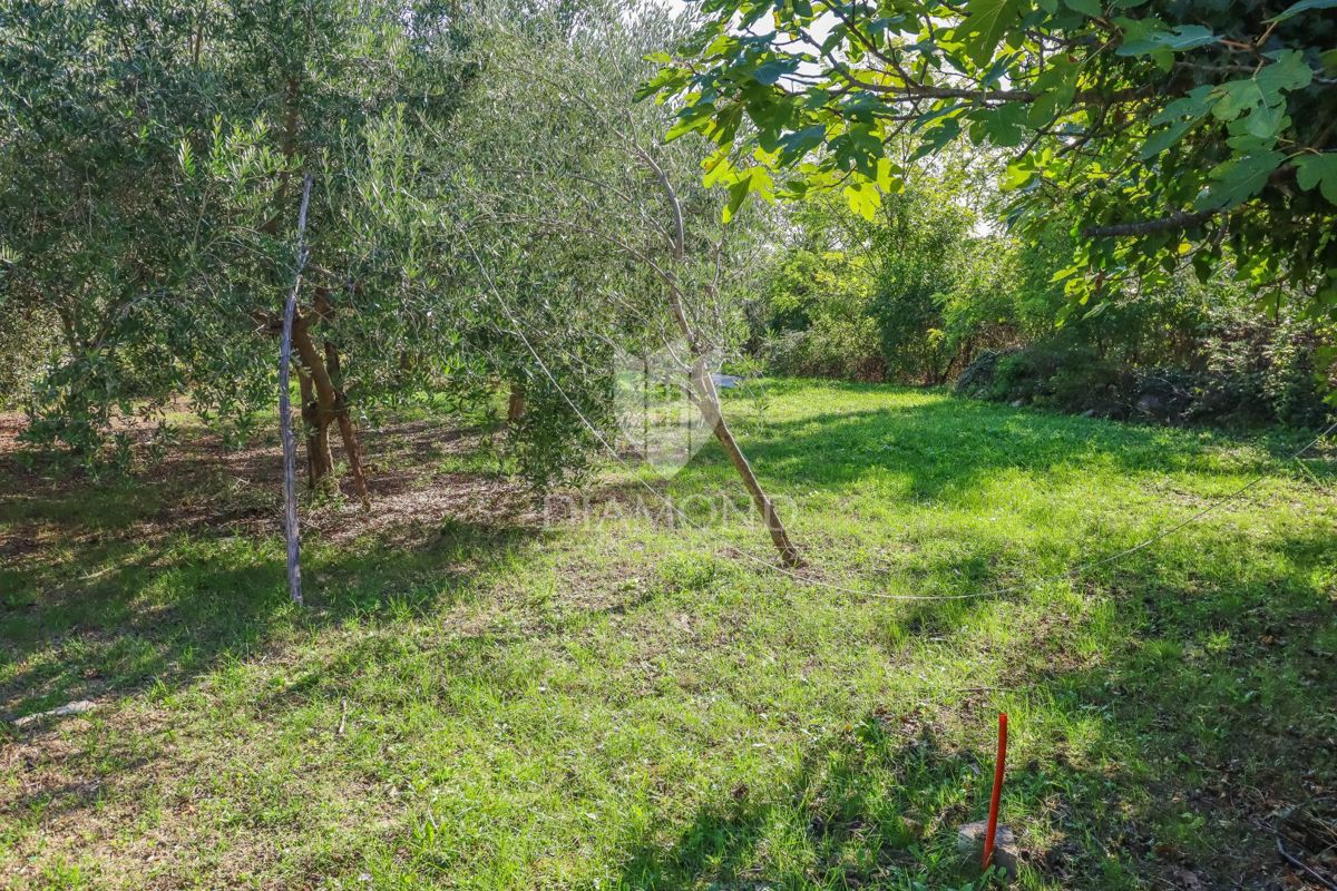 Buje! Zemljišče z razgledom in gradbenim dovoljenjem!