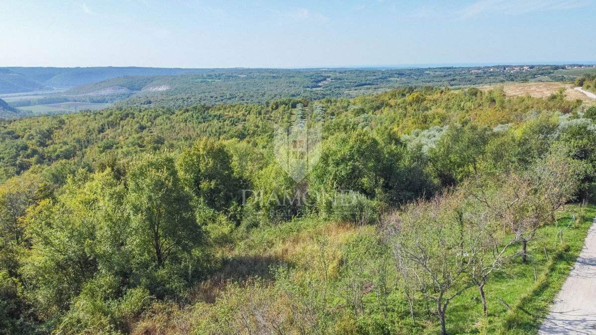 Buje! Zemljišče z razgledom in gradbenim dovoljenjem!
