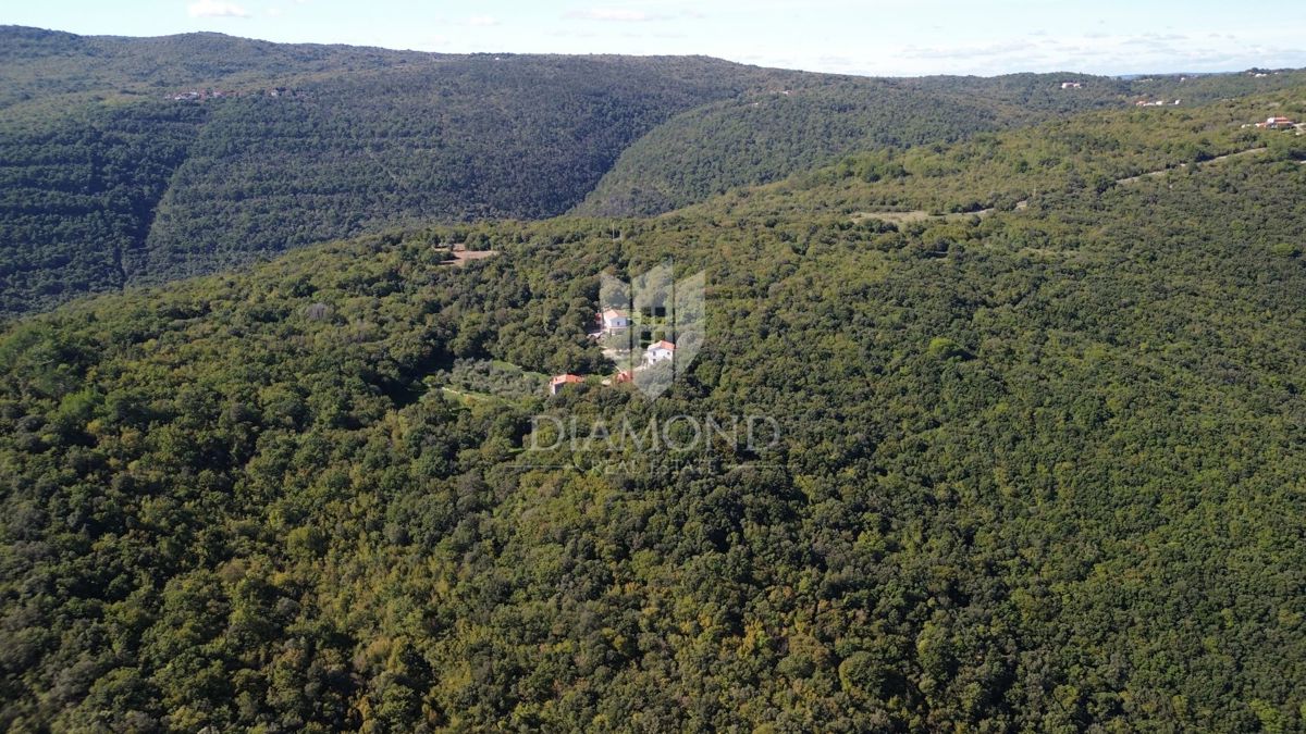 Kmetijska zemljišča ob morju naprodaj – Rabac, Istra