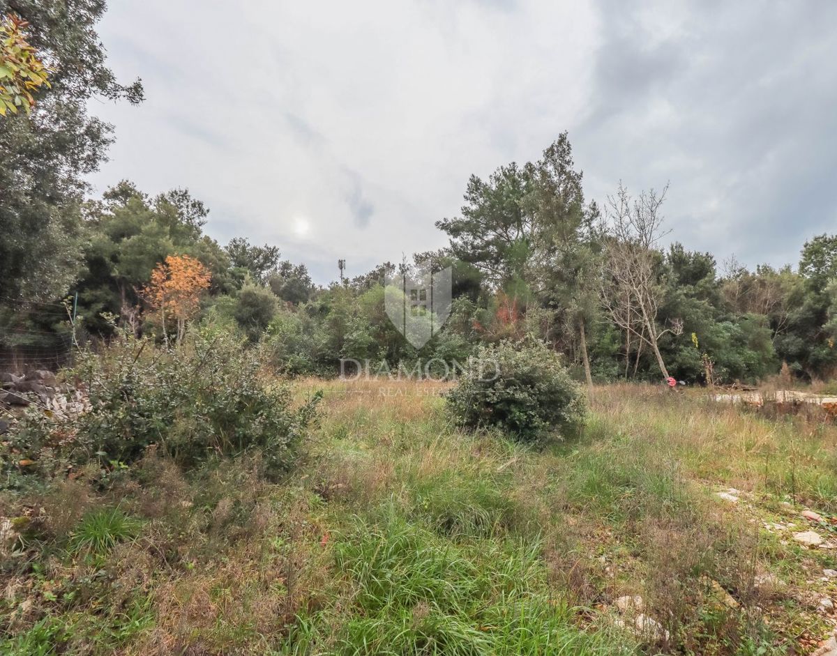 Rovinj! Kmetijska zemljišča v bližini morja!