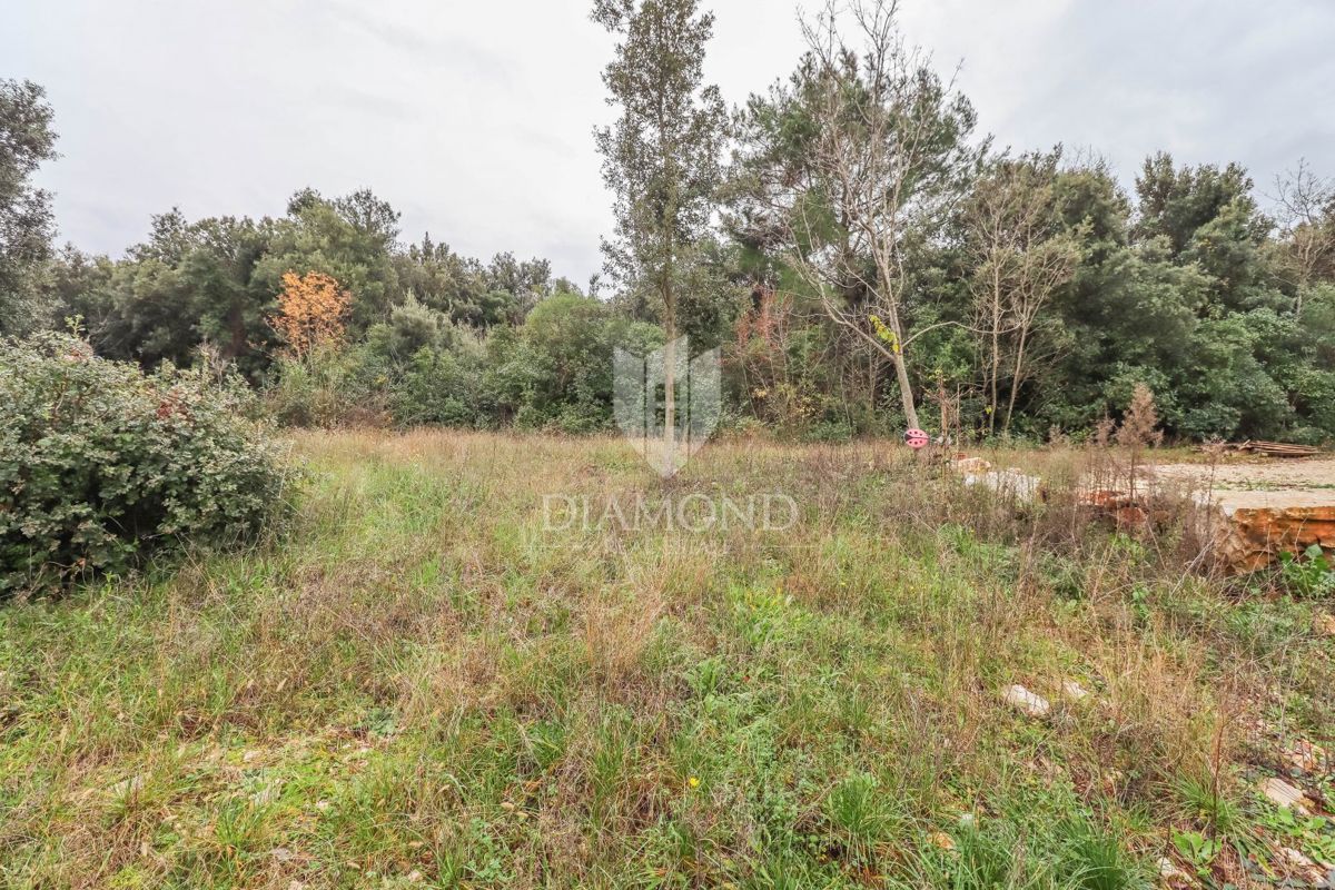 Rovinj! Kmetijska zemljišča v bližini morja!