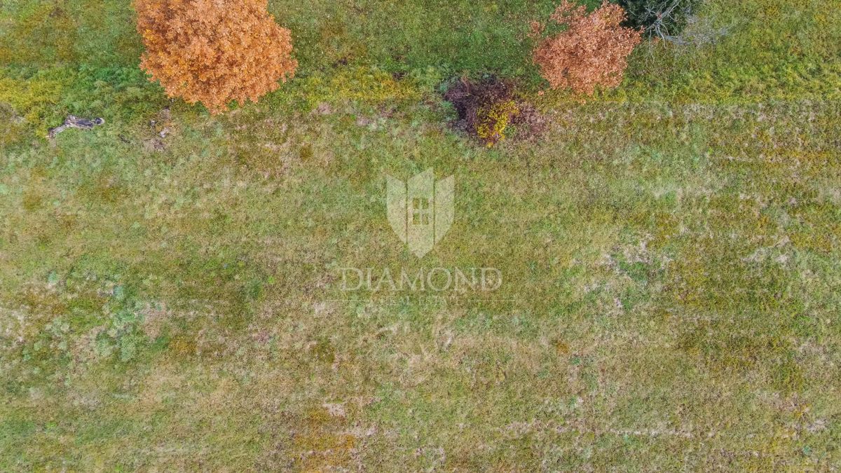 Motovun, primerno gradbeno zemljišče za vaš dom v Istri!