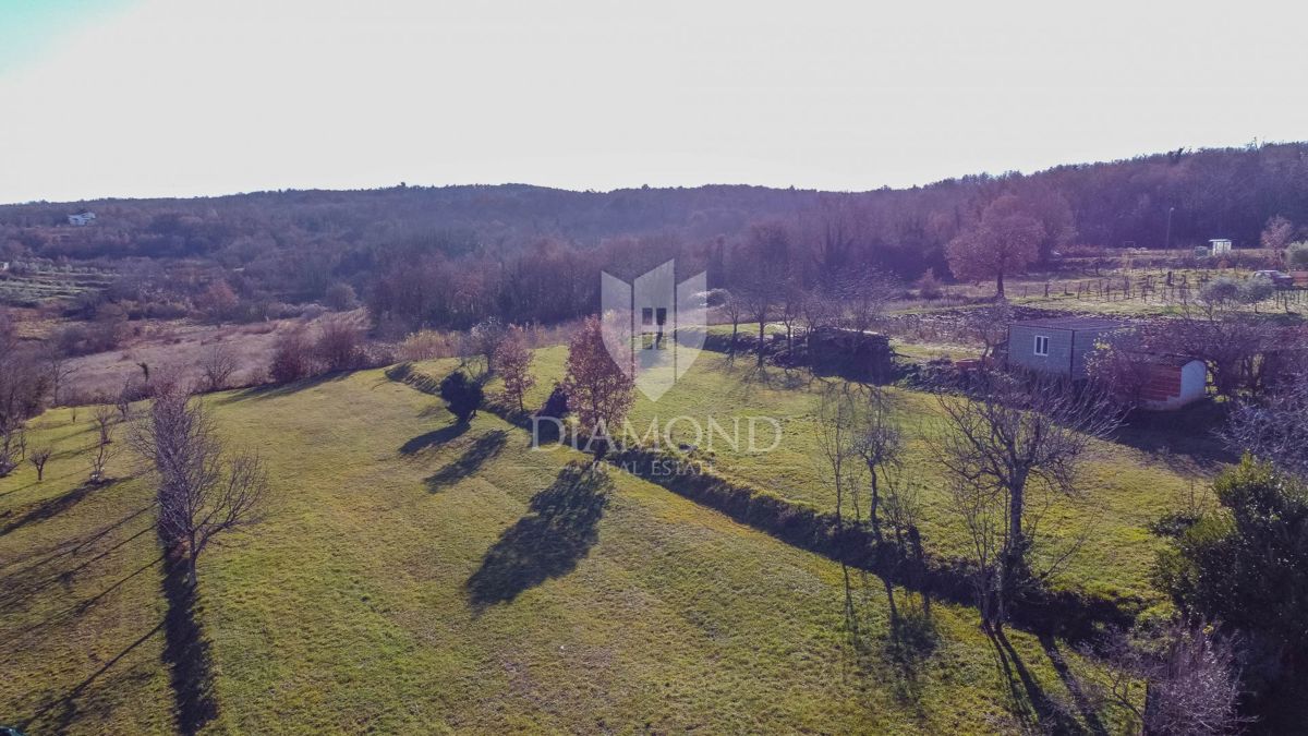 Motovun, okolica, gradbeno zemljišče za vaš dom!