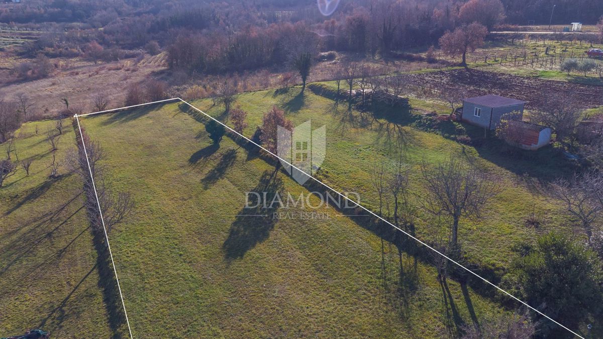 Motovun, okolica, gradbeno zemljišče za vaš dom!