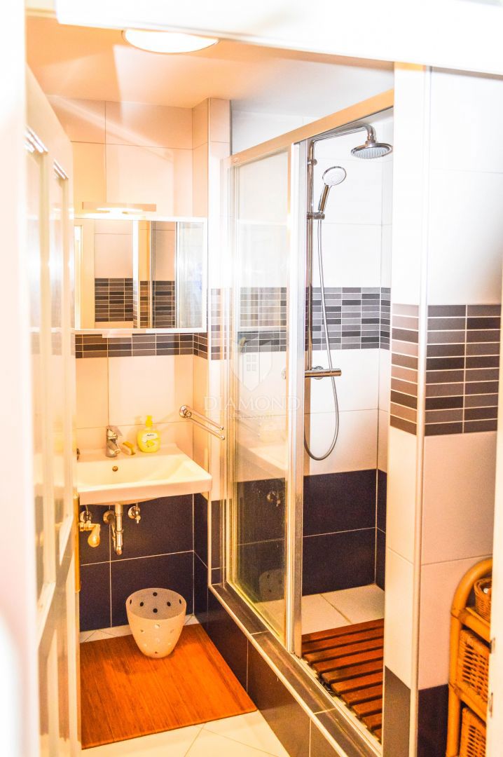 Apartmaj Laščina, Maksimir, 107m2