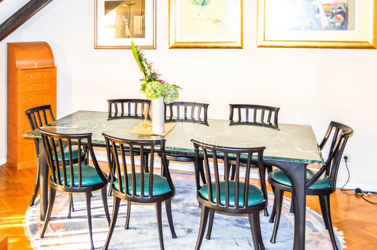 Apartmaj Laščina, Maksimir, 107m2