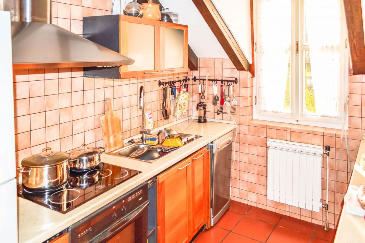 Apartmaj Laščina, Maksimir, 107m2