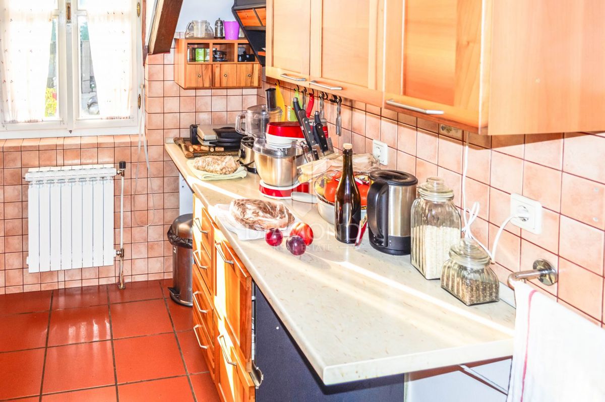 Apartmaj Laščina, Maksimir, 107m2