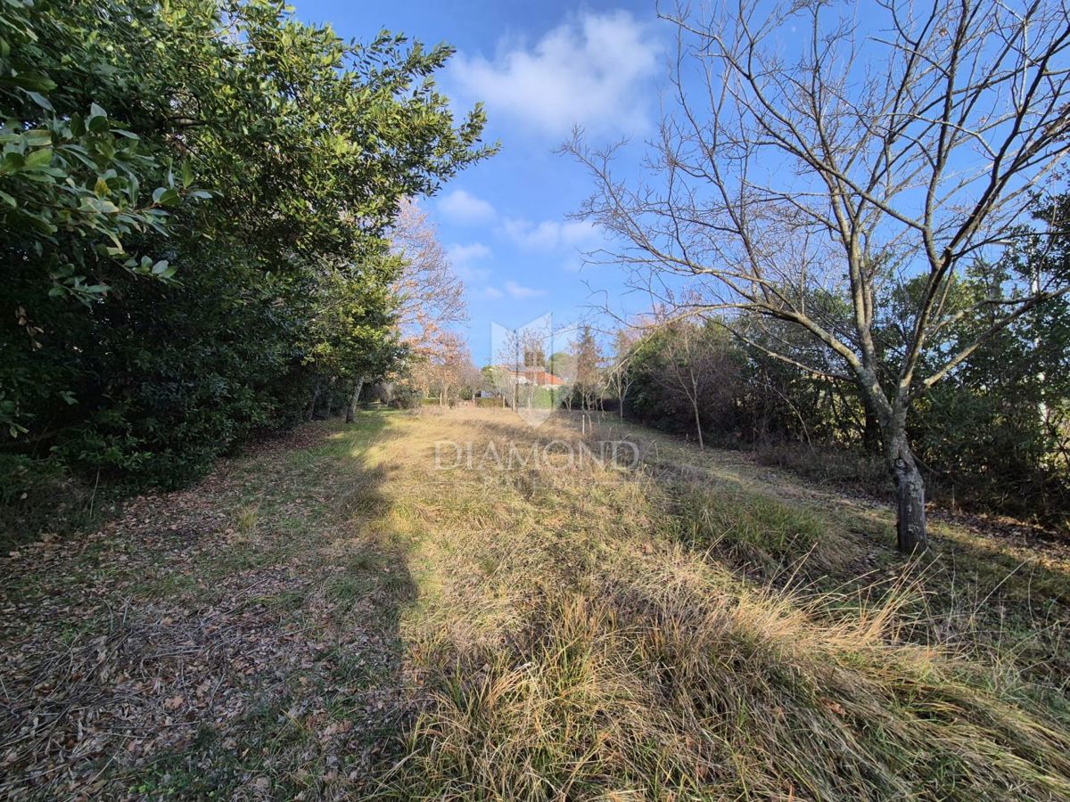 Poreč, okolica, gradbeno zemljišče na elitni lokaciji