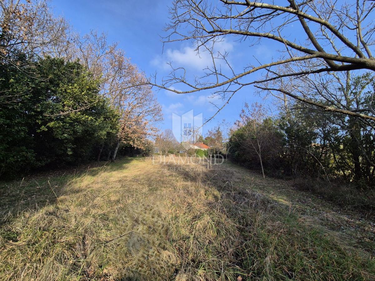 Poreč, okolica, gradbeno zemljišče na elitni lokaciji