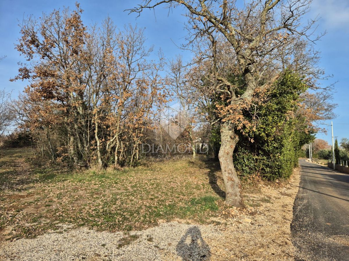 Poreč, okolica, gradbeno zemljišče na elitni lokaciji