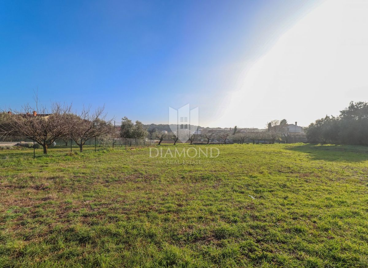 Privlačno gradbeno zemljišče v Pomerju - možnost gradnje več stanovanj
