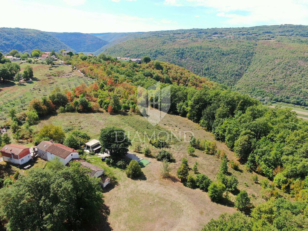Labin, okolica, hiša z bazenom in velikim vrtom