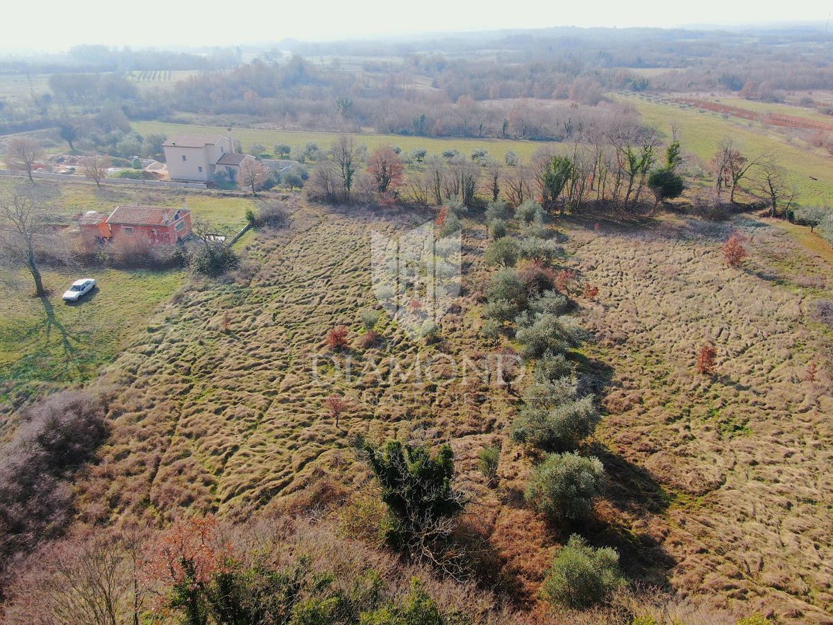 Zemljišče Barban, 1.000m2