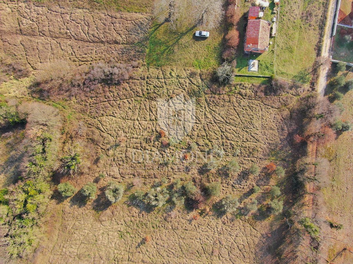 Zemljišče Barban, 1.000m2