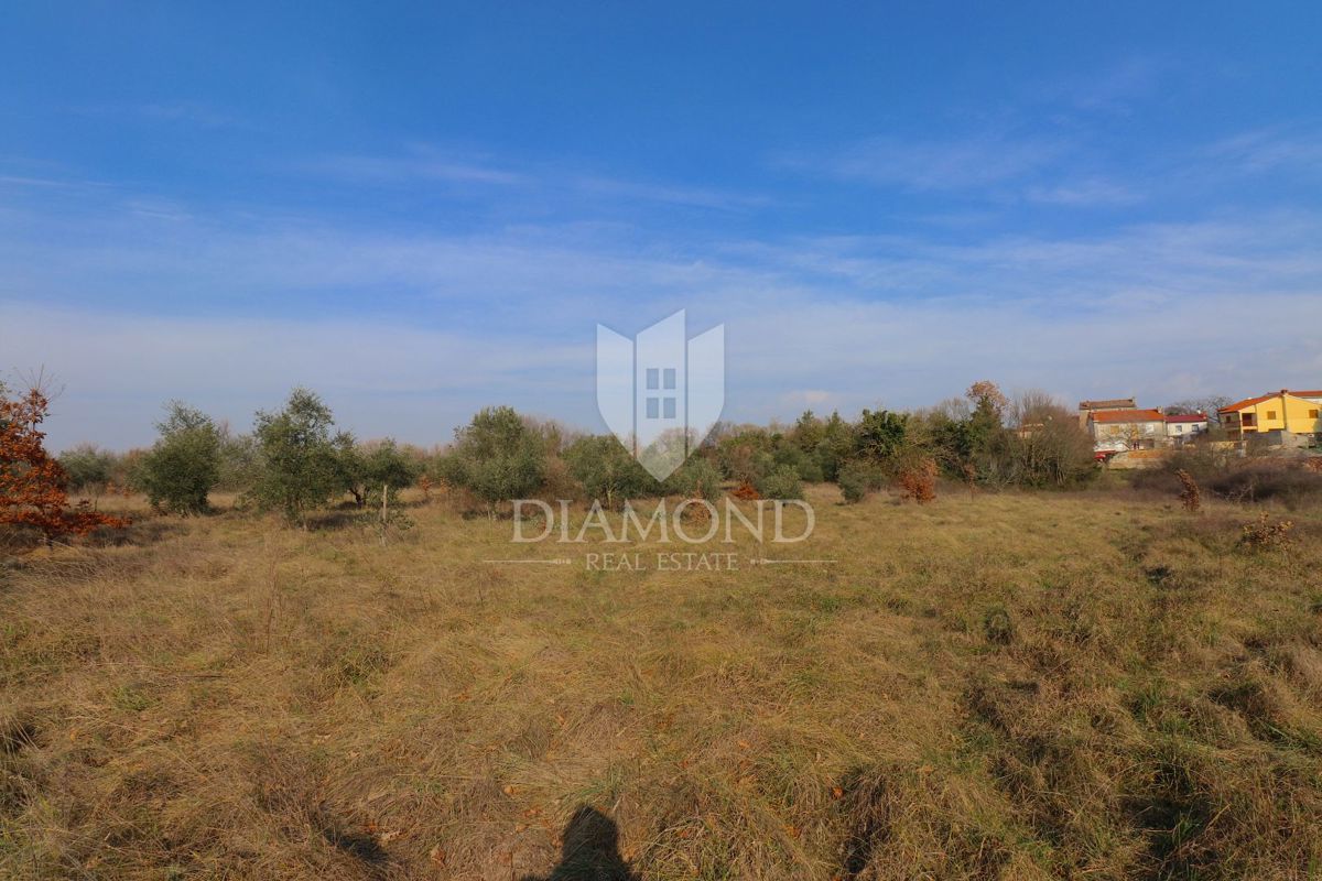 Zemljišče Barban, 1.000m2