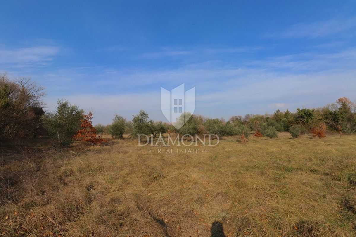 Zemljišče Barban, 1.000m2