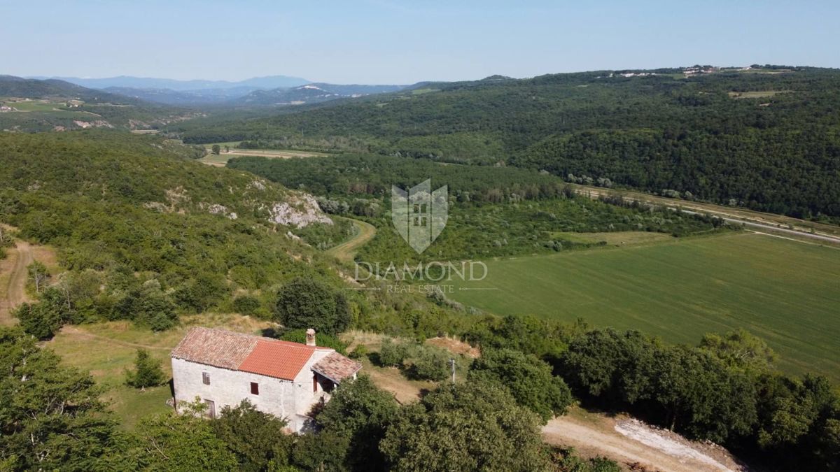 Grožnjan, okolica! Posestvo z velikim zemljiščem!