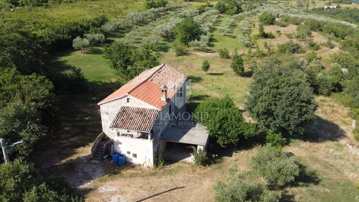 Grožnjan, okolica! Posestvo z velikim zemljiščem!