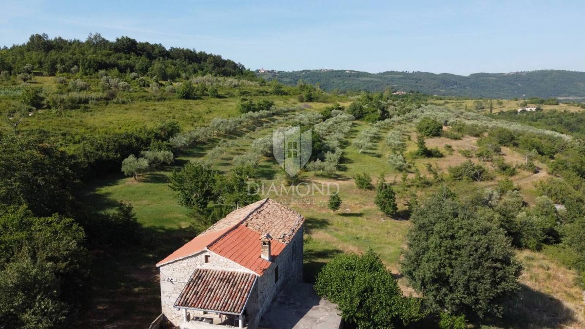 Grožnjan, okolica! Posestvo z velikim zemljiščem!