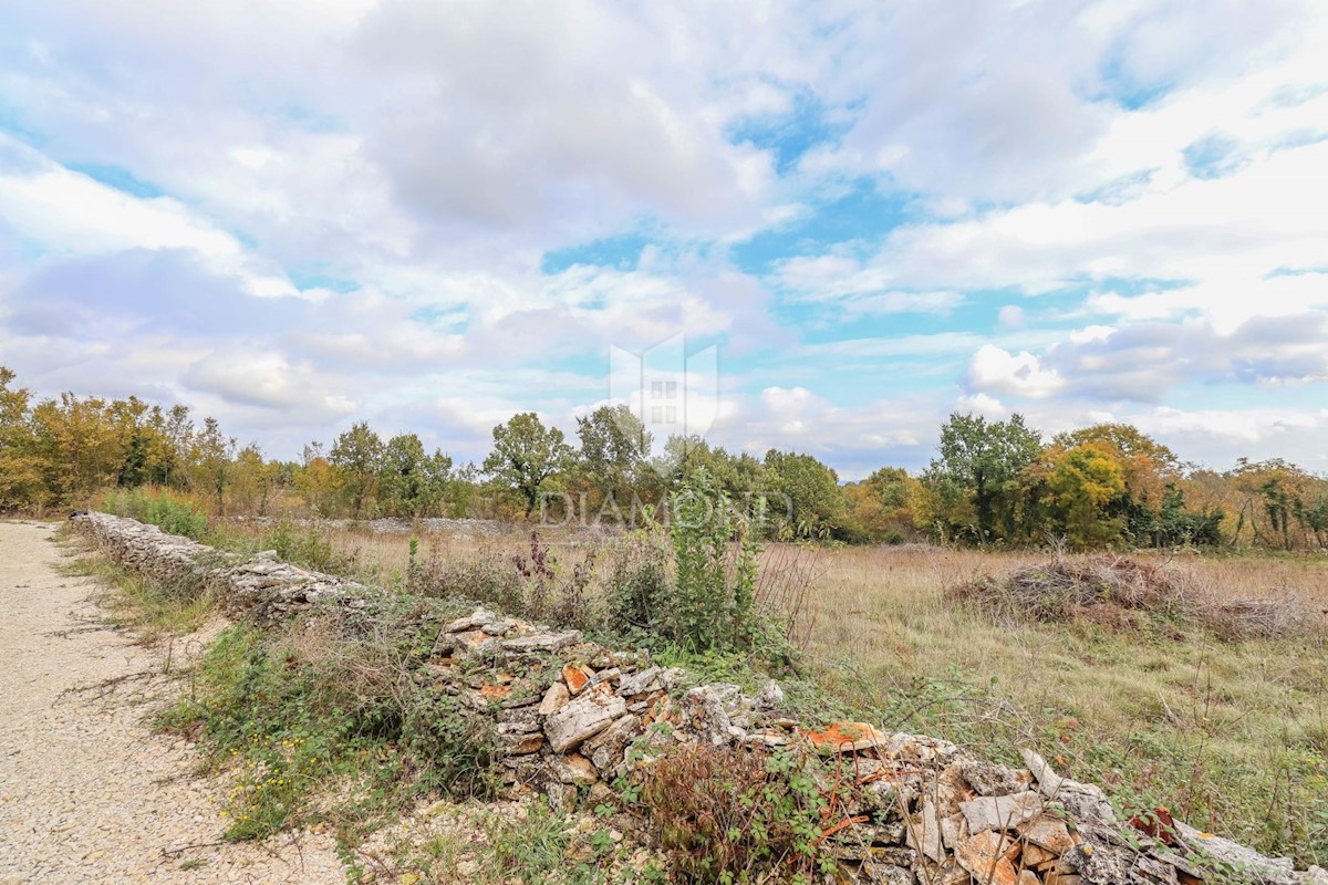 Marčana, okolica, odlično zemljišče na mirni lokaciji