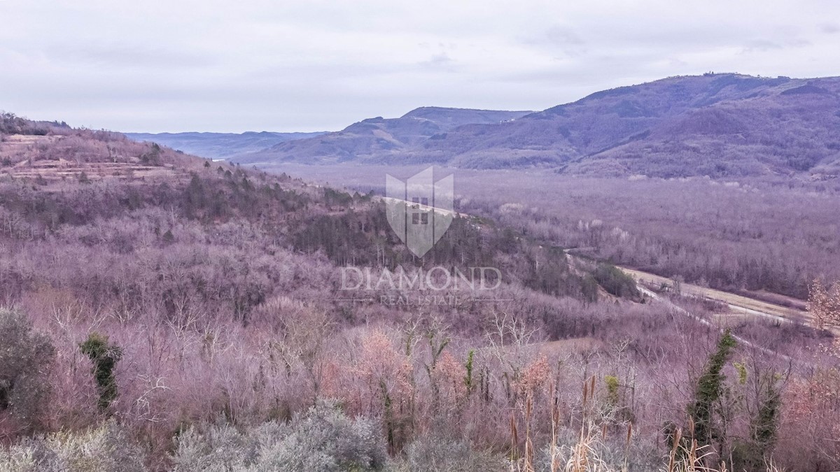 Motovun, Kamnita hiša s panoramskim pogledom na Motovun!