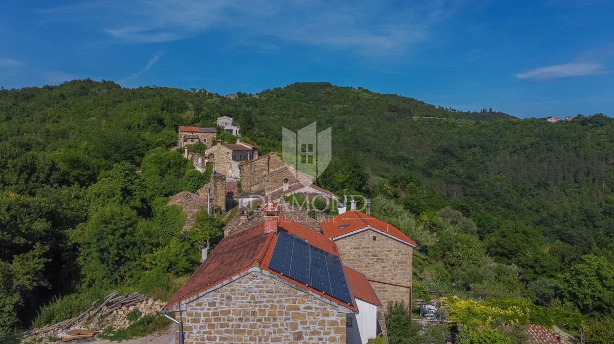Motovun, Kamnita hiša s panoramskim pogledom na Motovun!