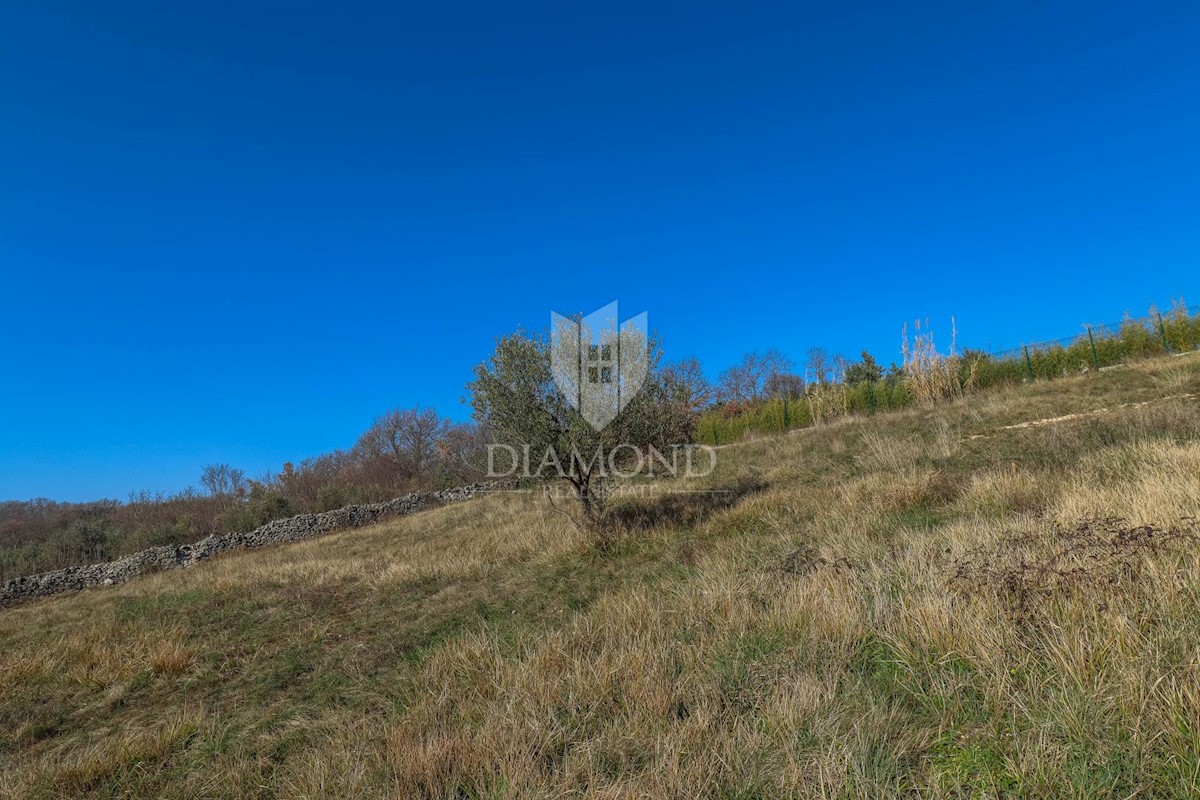 Novigrad okolica, zemljišče s panoramskim pogledom na morje!