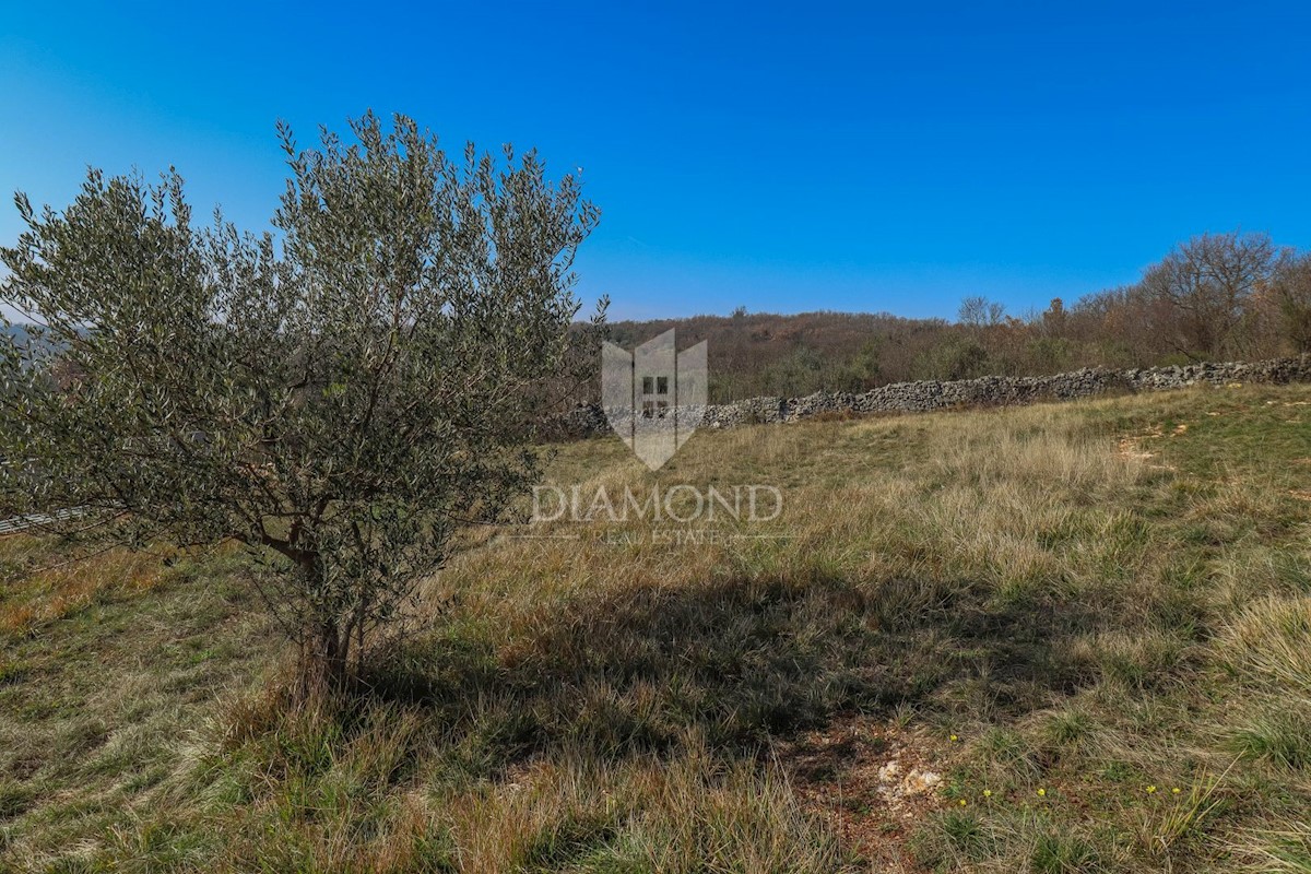 Novigrad okolica, zemljišče s panoramskim pogledom na morje!