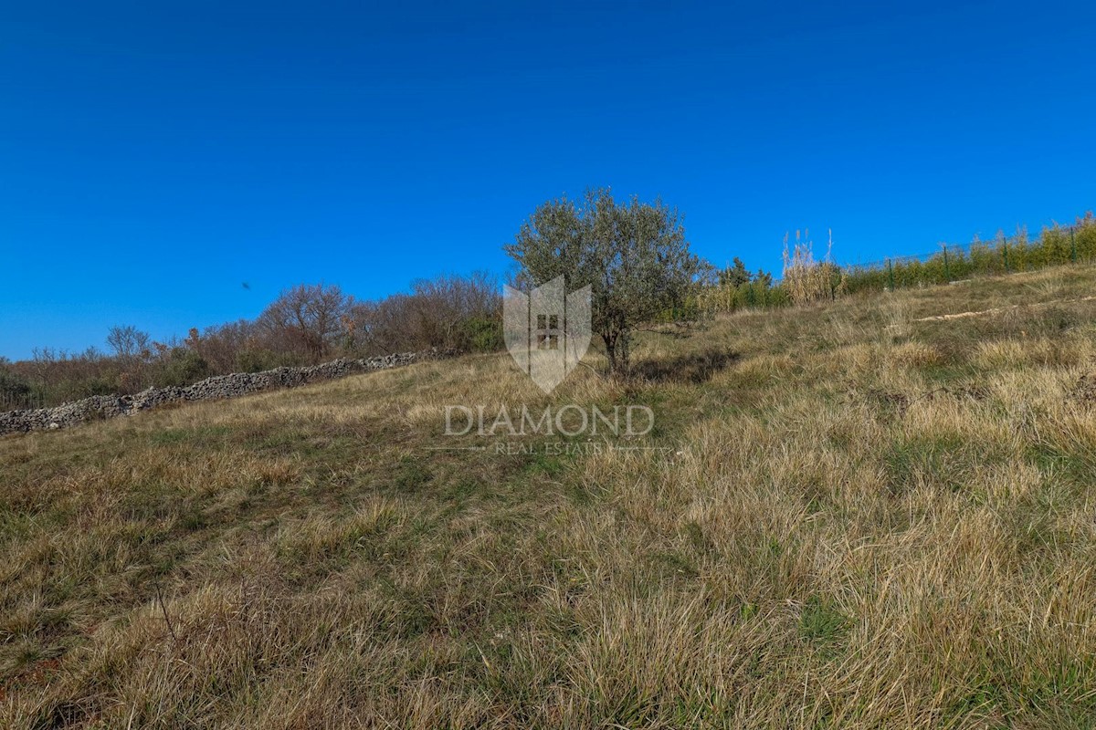 Novigrad okolica, zemljišče s panoramskim pogledom na morje!