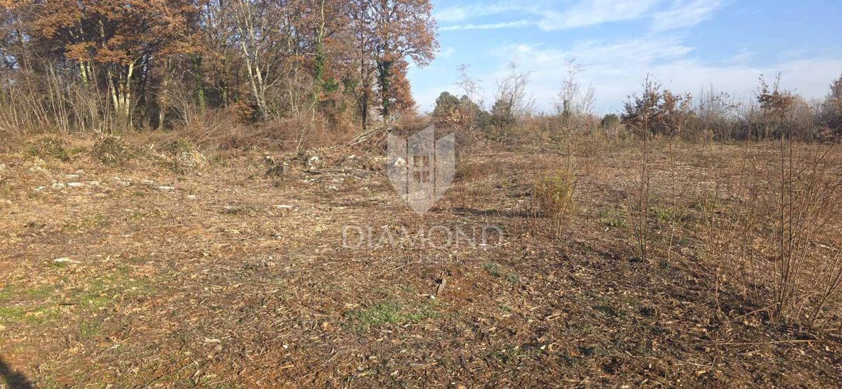 labin, okolica, zazidljivo zemljišče v bližini centra