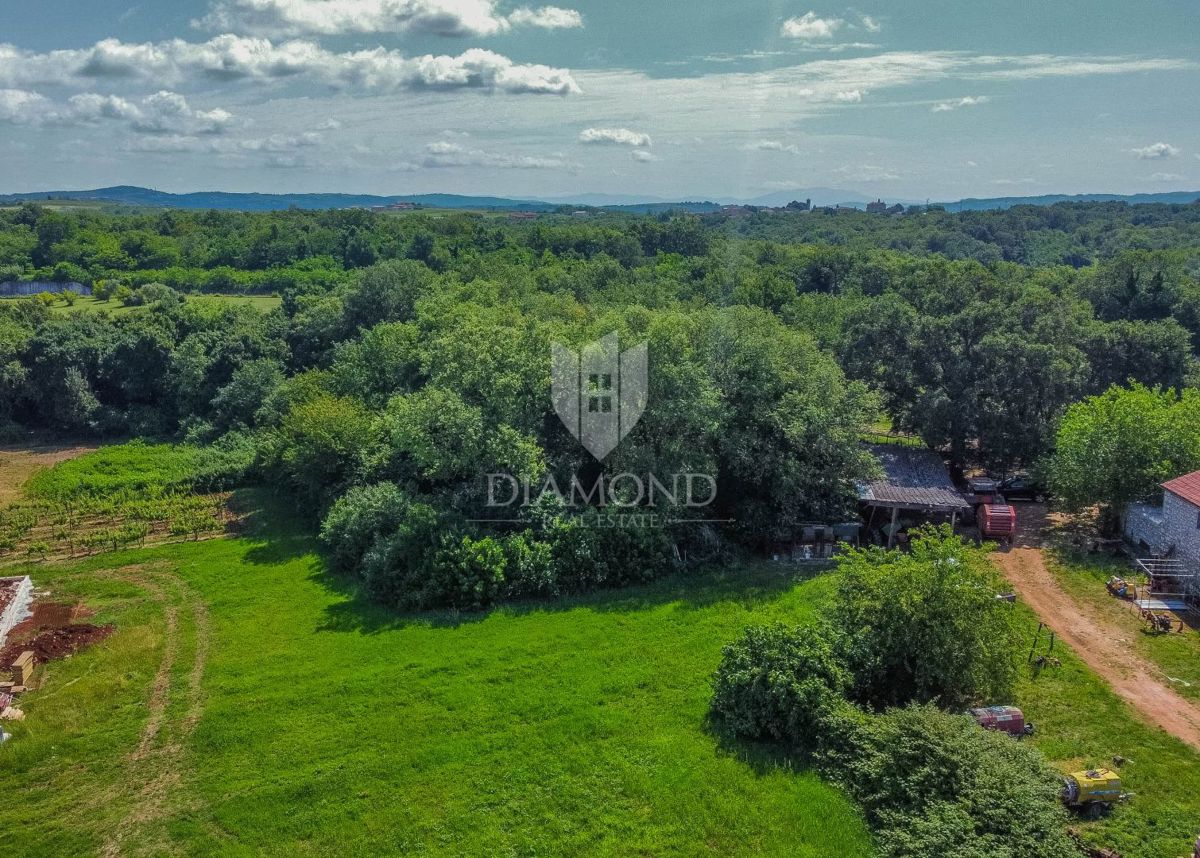 Brtonigla, okolica, zemljišče 619 m2 v mirni vasi