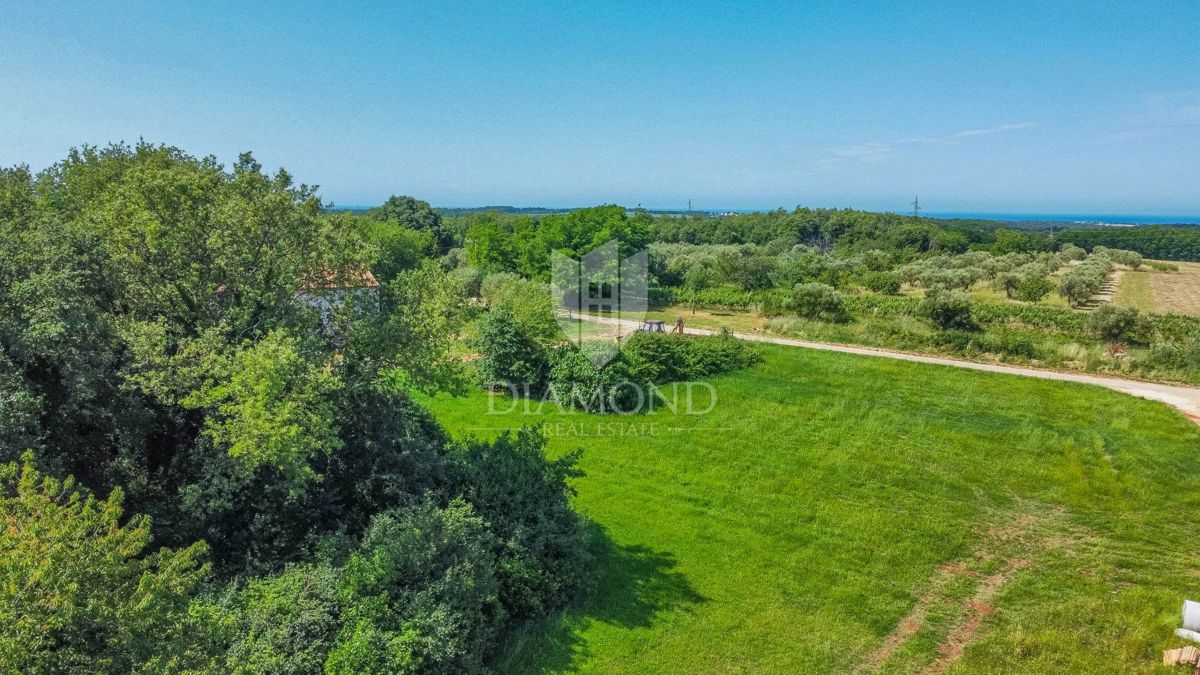 Brtonigla, okolica, zemljišče 619 m2 v mirni vasi