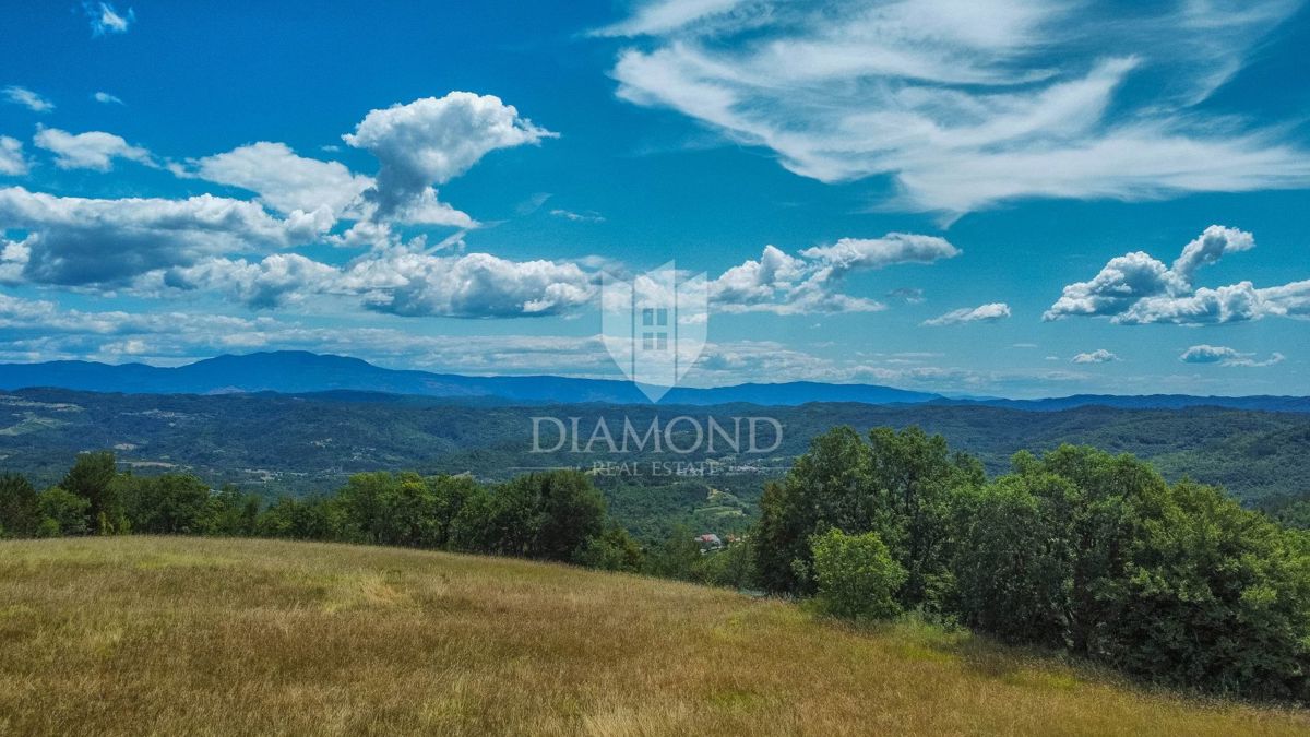Osrednja Istra, zemljišče 3.874 m² z gradbenim dovoljenjem!