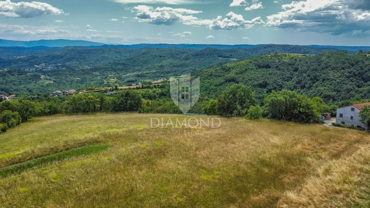 Osrednja Istra, zemljišče 3.874 m² z gradbenim dovoljenjem!