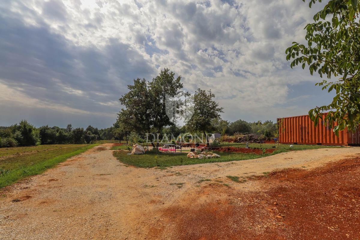 Barban, okolica, zemljišče s projektom za družinsko oazo