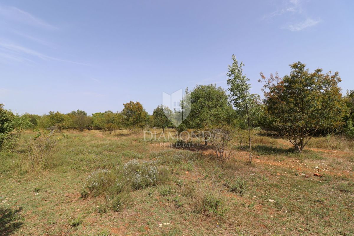 Svetvinčenat, odlično gradbeno zemljišče!