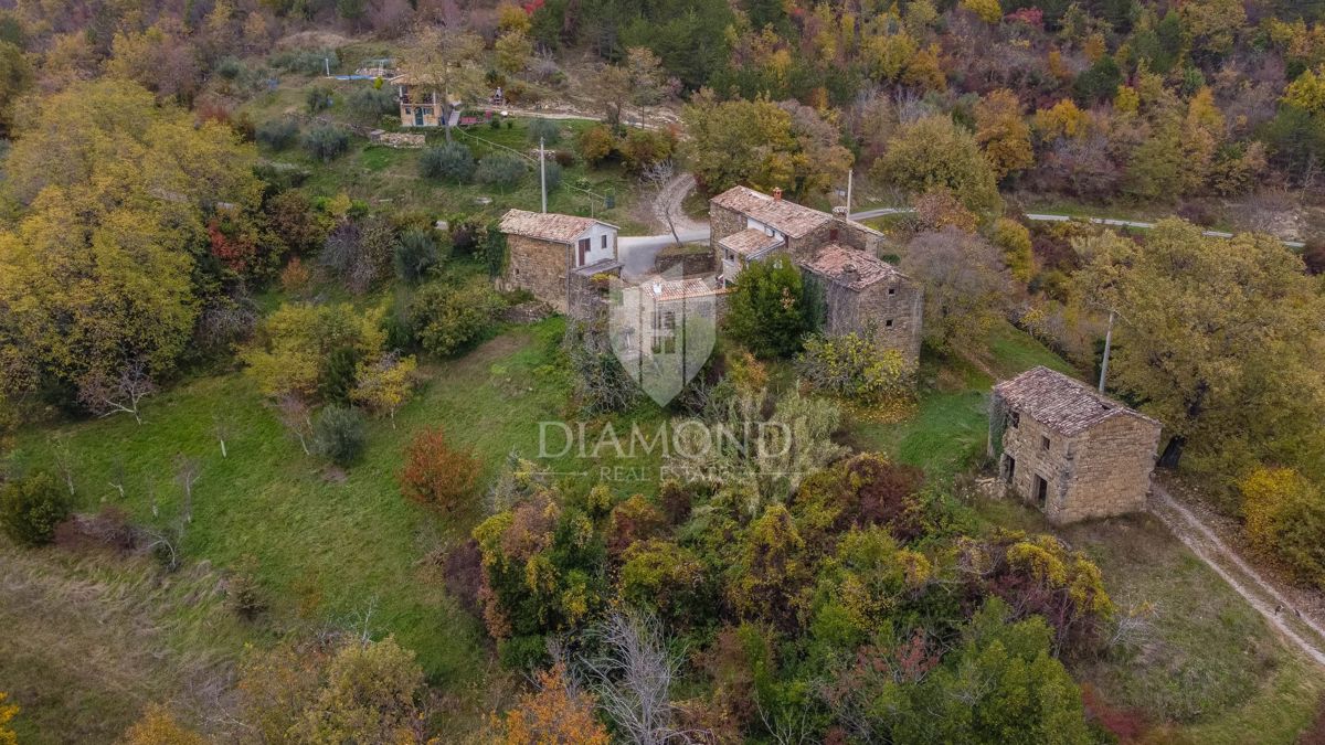 Motovun, Nepremičnina z odličnim razvojnim potencialom!