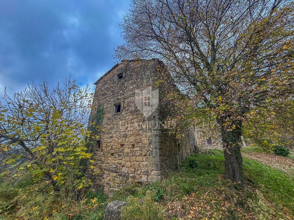 Motovun, Nepremičnina z odličnim razvojnim potencialom!