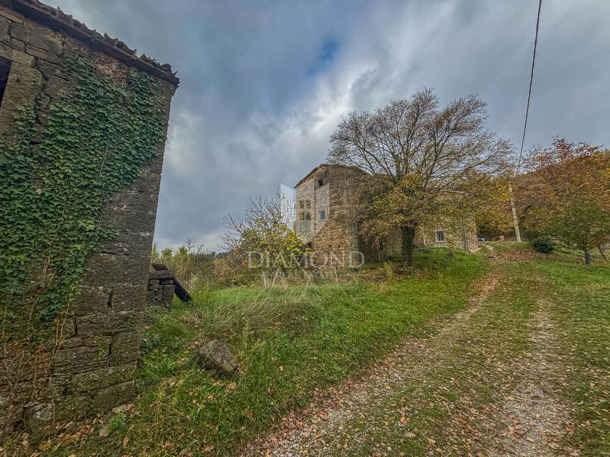 Motovun, Nepremičnina z odličnim razvojnim potencialom!