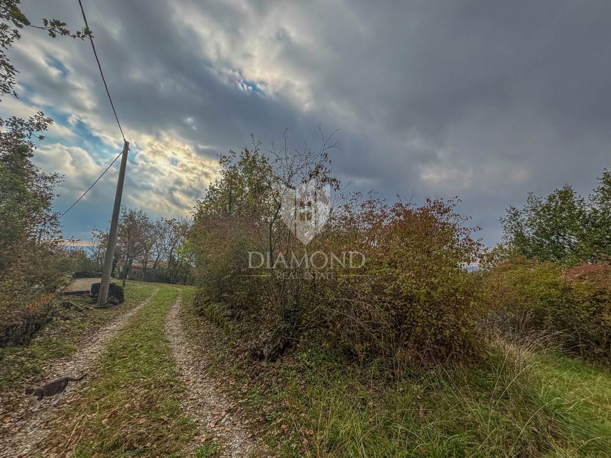 Motovun, Nepremičnina z odličnim razvojnim potencialom!